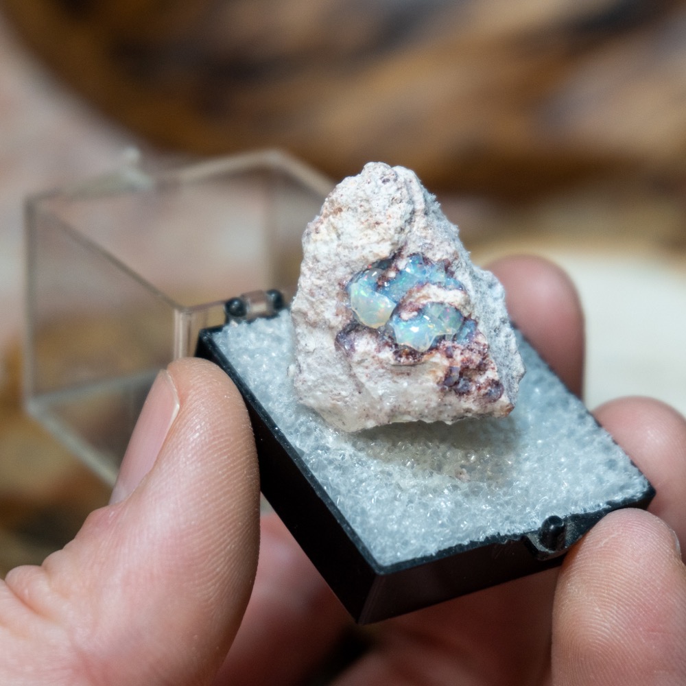 australian-bolder-opal-specimen-the-crystal-council