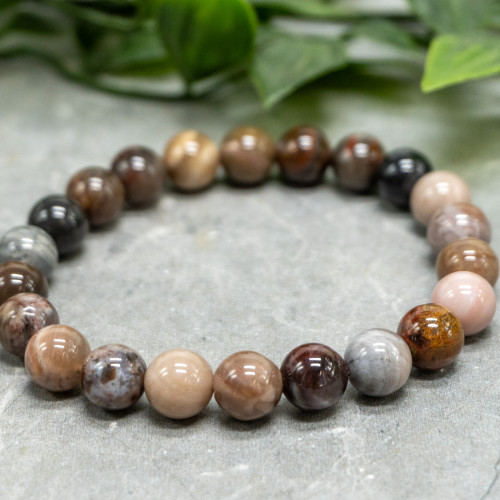 Petrified Wood Bracelet 8mm
