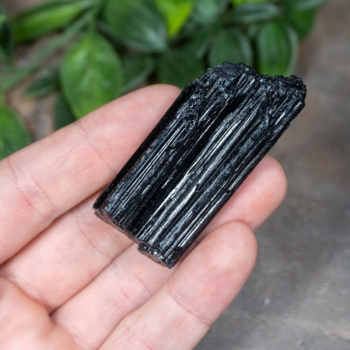Black Tourmaline #3