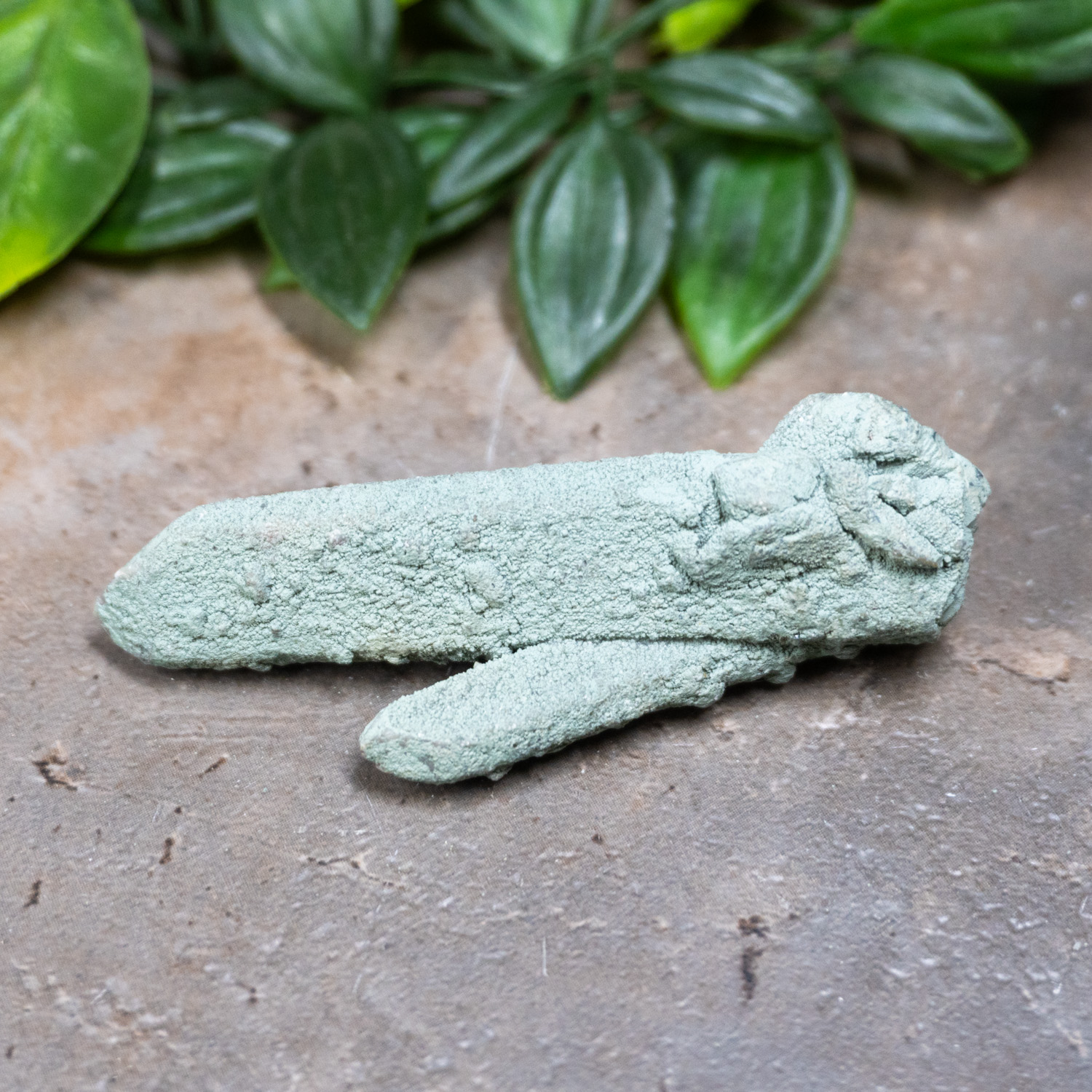 Chlorite on Quartz #18