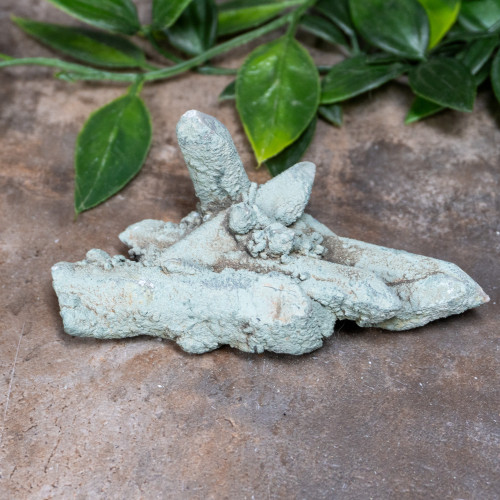 Chlorite on Quartz #11