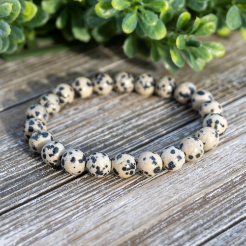 faceted dalmation jasper beads