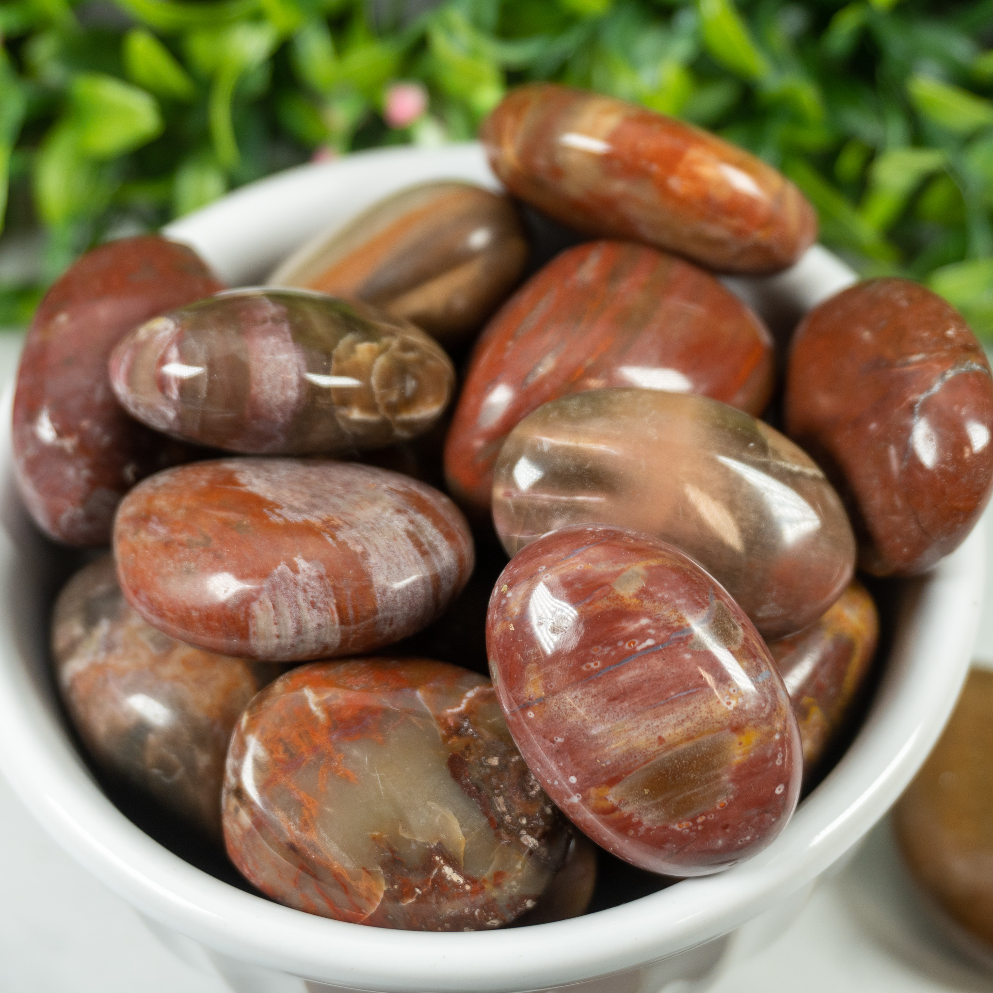 Petrified Wood Tumbled - The Crystal Council