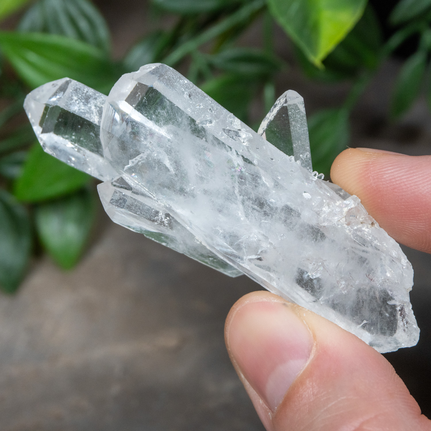 Faden Quartz #12