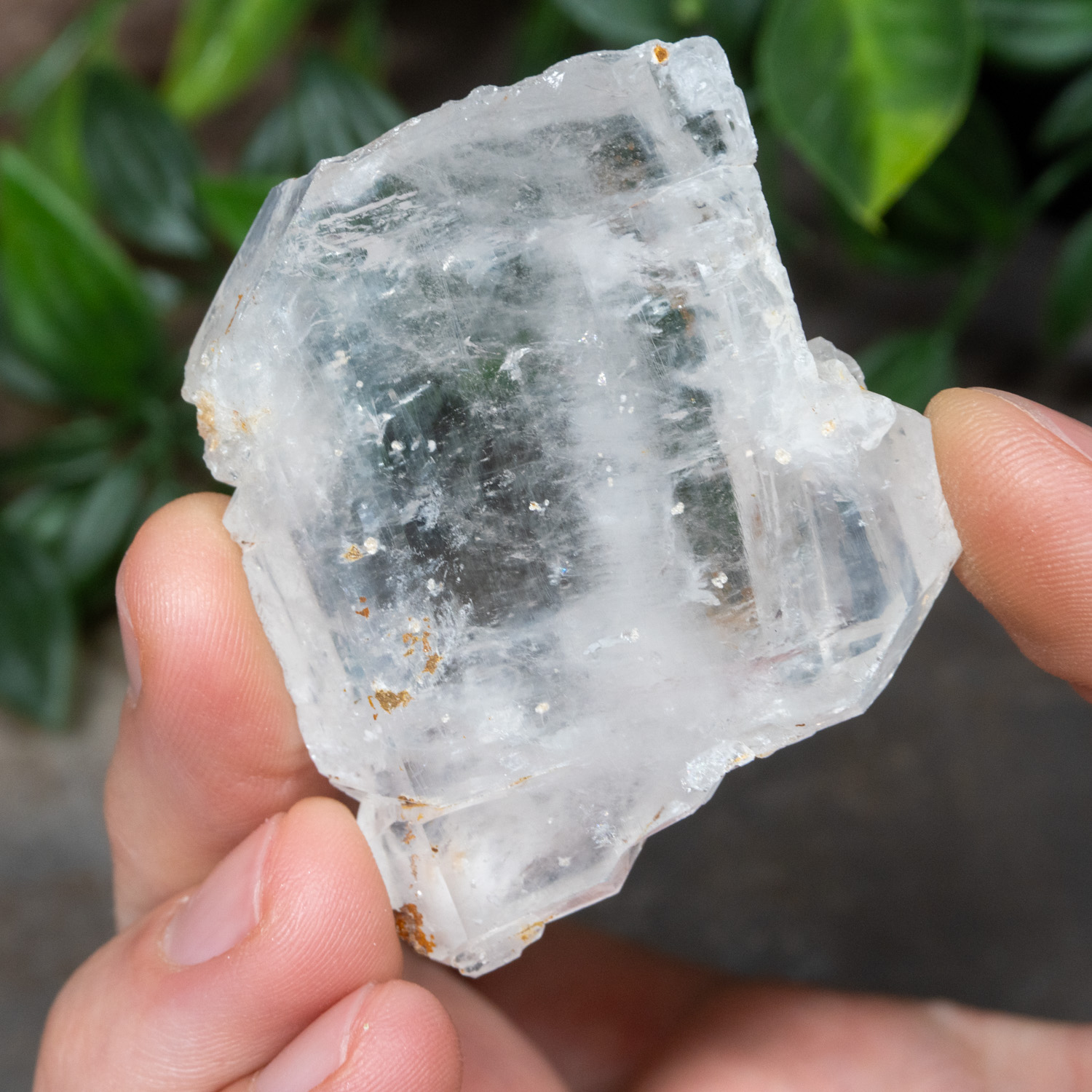 Faden Quartz #10