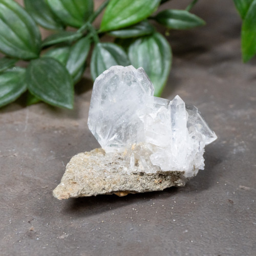 Faden Quartz #5