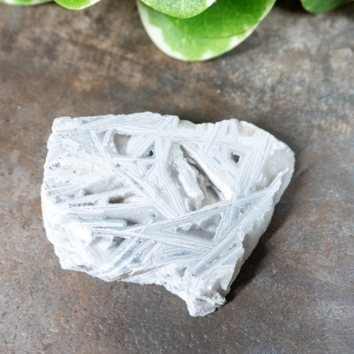 Lattice Lace Agate #4