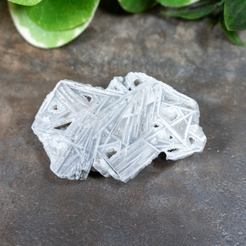 Lattice Lace Agate #3