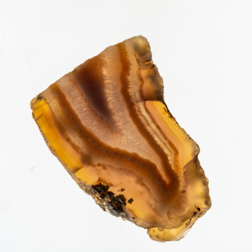 Timor Agate Slice #2