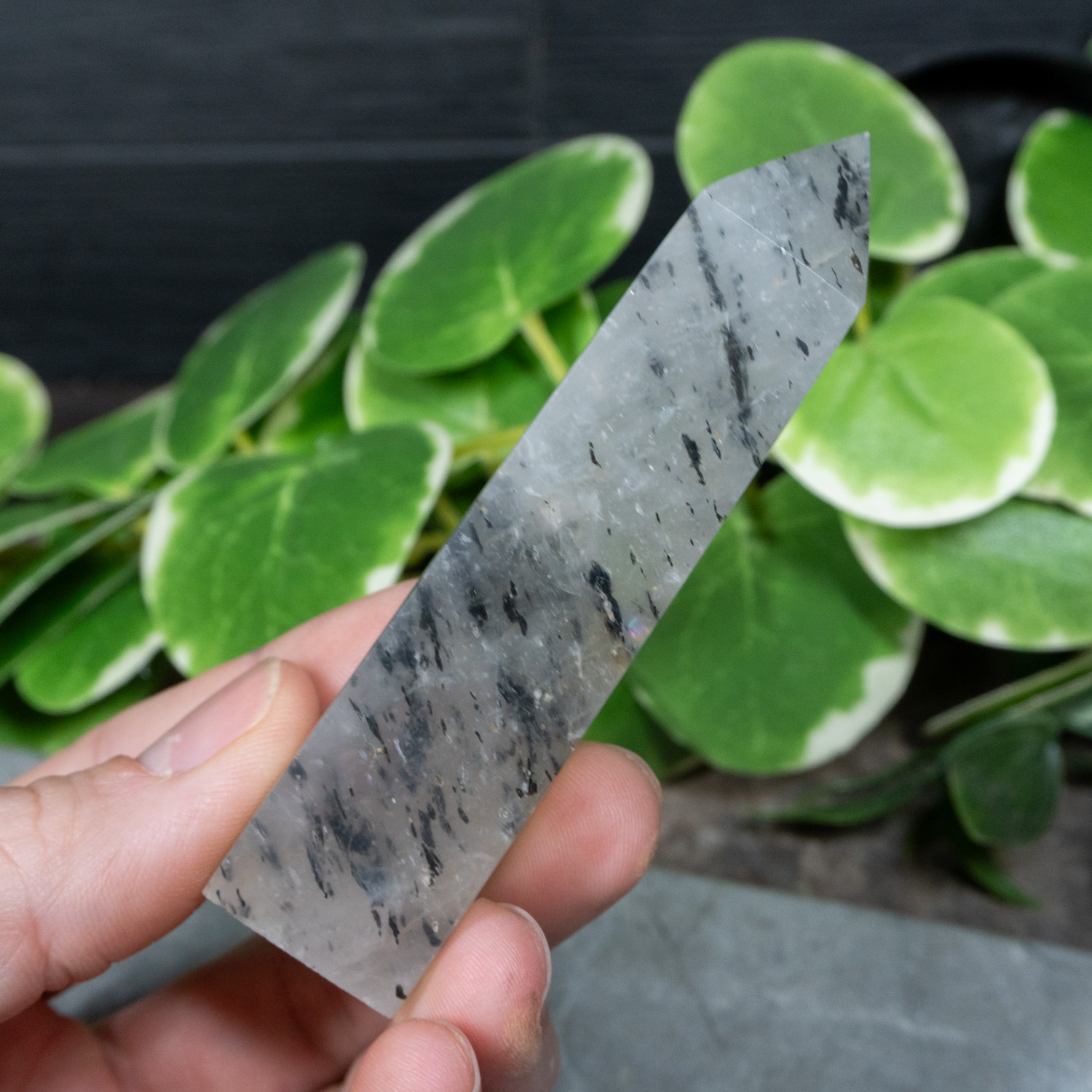 Mica in Quartz Tower #4