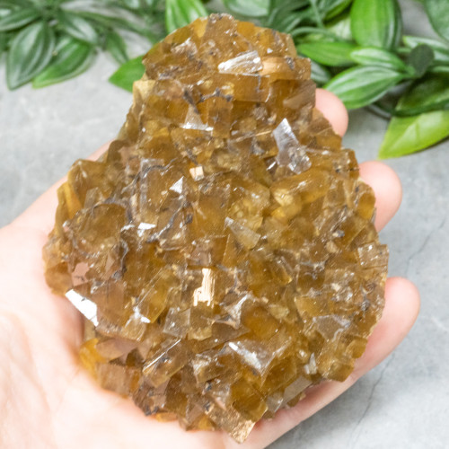 Golden Barite on Fluorite #18