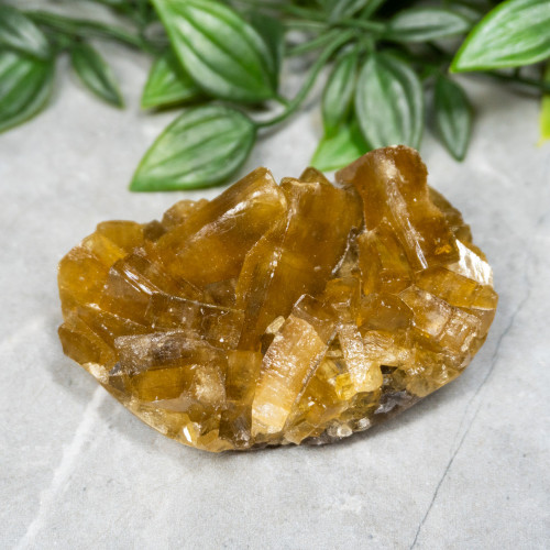 Golden Barite on Fluorite #14