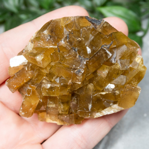 Golden Barite on Fluorite #9