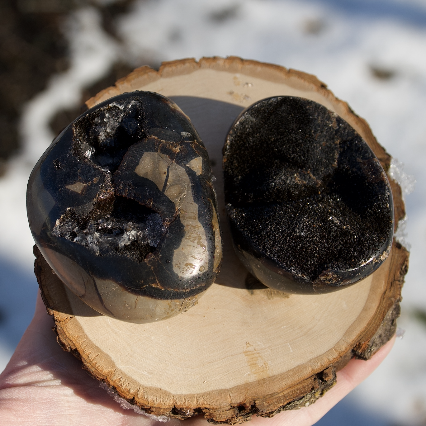 Septarian Large Geode