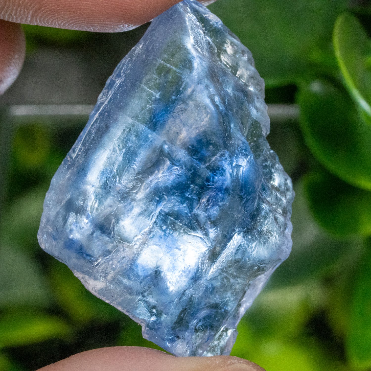 Blue Halite #6