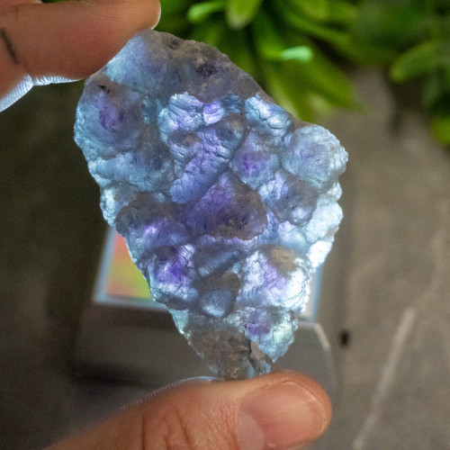 Purple & Green Fluorite With Colorless Fluorite #2