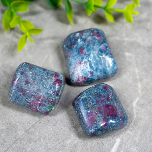 Ruby in Kyanite Tumbled