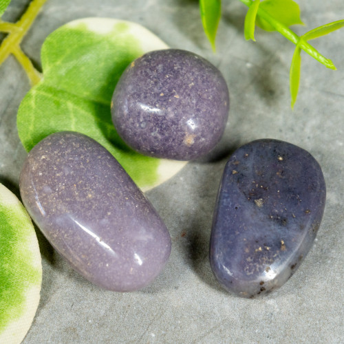 Indonesian Grape Agate Tumbled