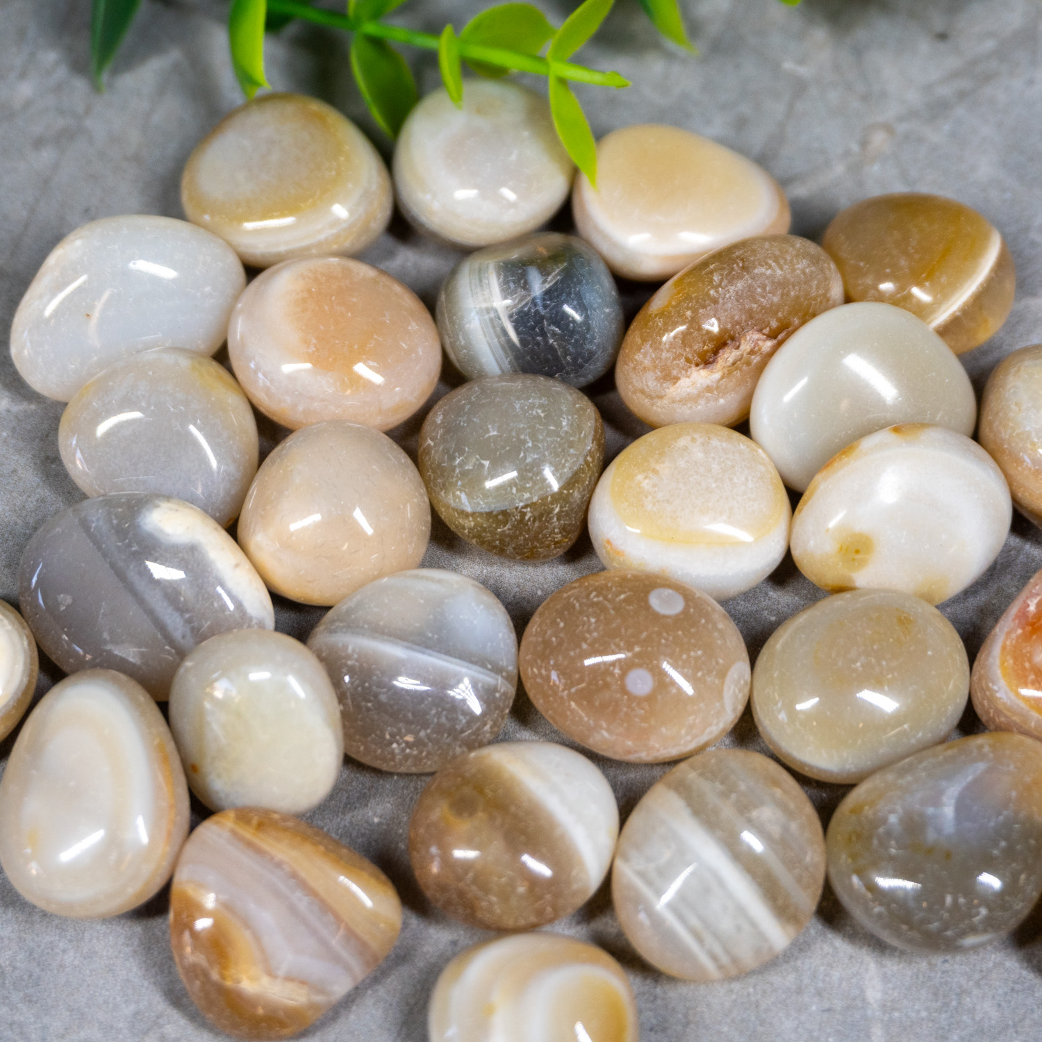 Banded Agate Tumbled