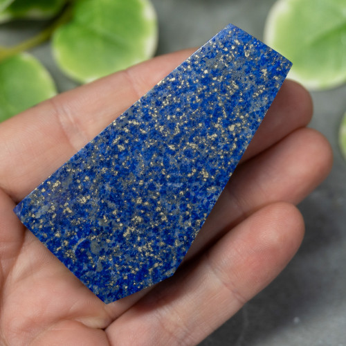 Lapis Lazuli A+ Quality Freeform #19