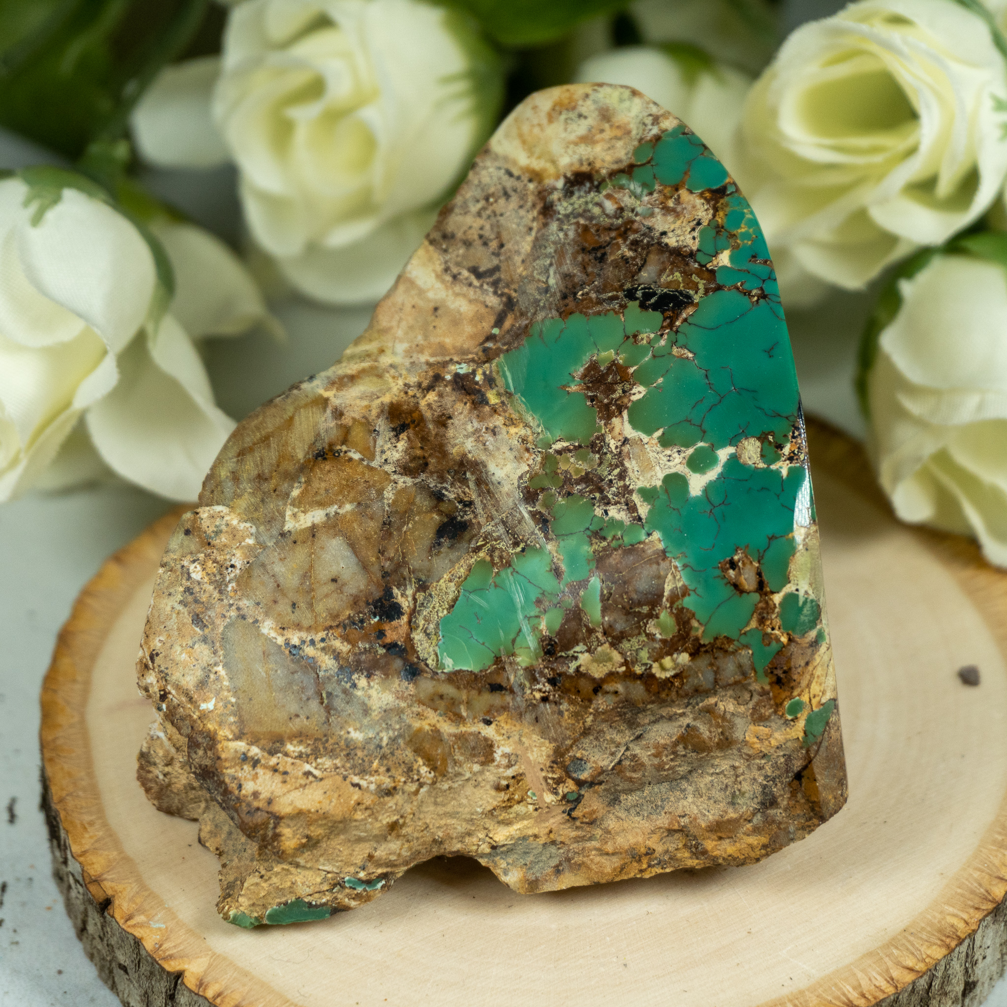 Polished Turquoise on Matrix #1