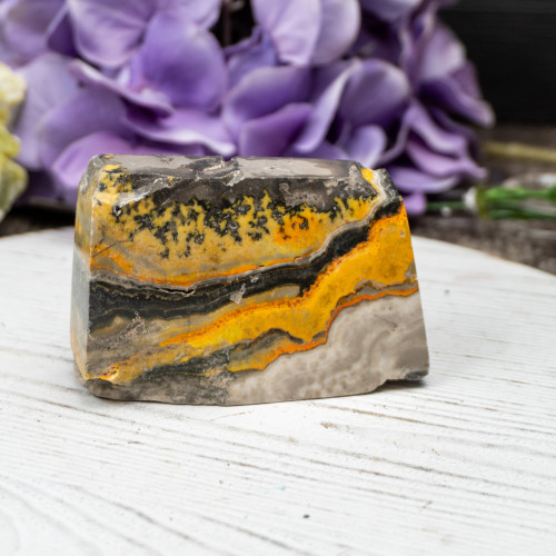 Bumblebee Jasper Slab #11