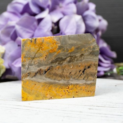Bumble Bee Jasper Slab #9