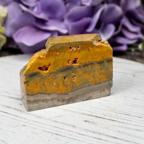 Bumble Bee Jasper Slab #6