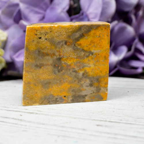 Bumble Bee Jasper Slab #5