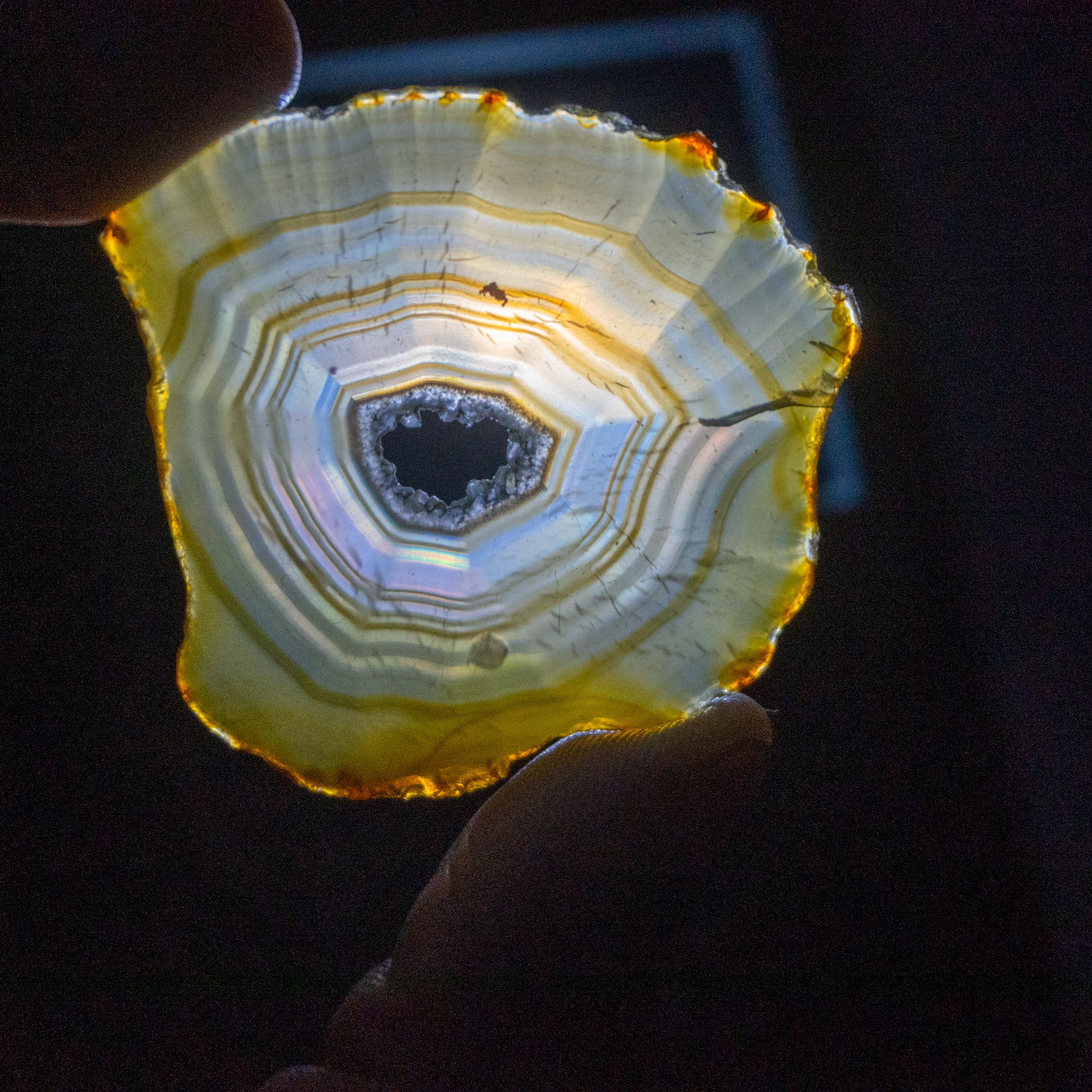 Iris Agate Slice #13
