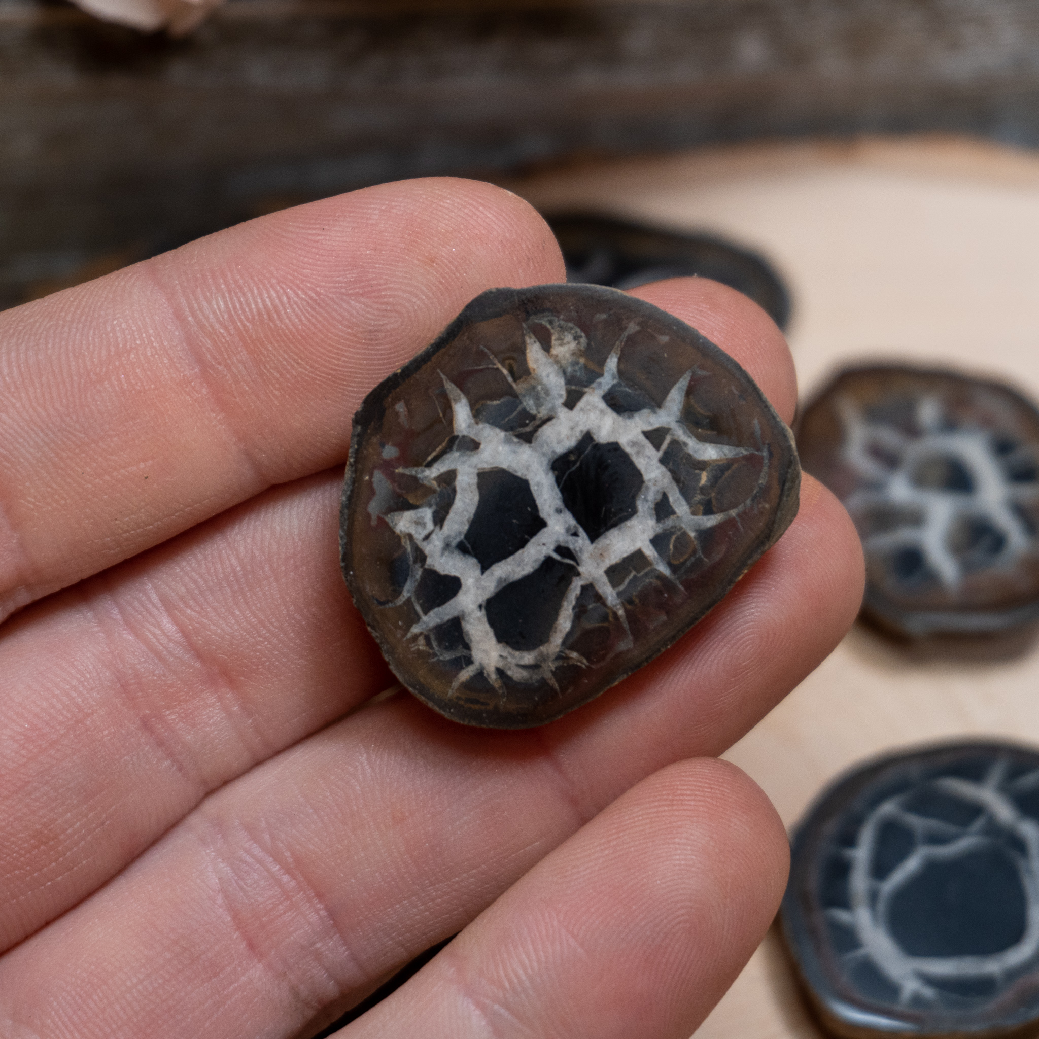 Small Septarian (Half-Polished)