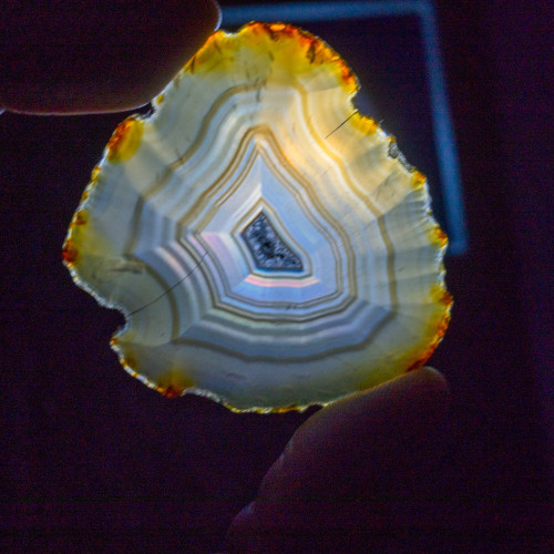 Iris Agate Slice #9