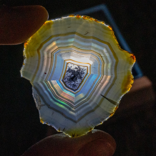 Iris Agate Slice #5