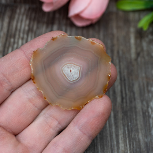 Iris Agate Slice #3