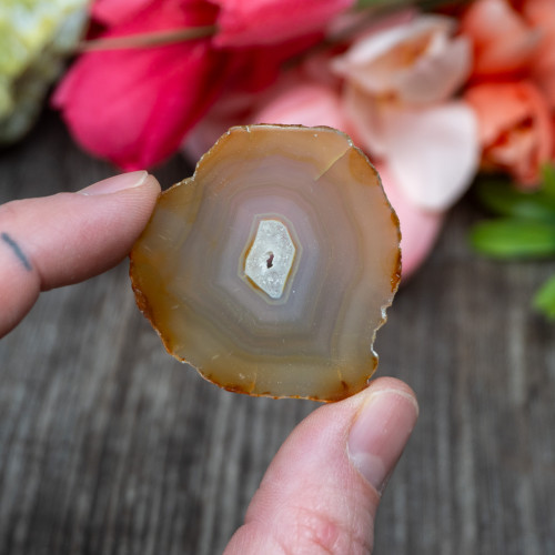 Iris Agate Slice #1