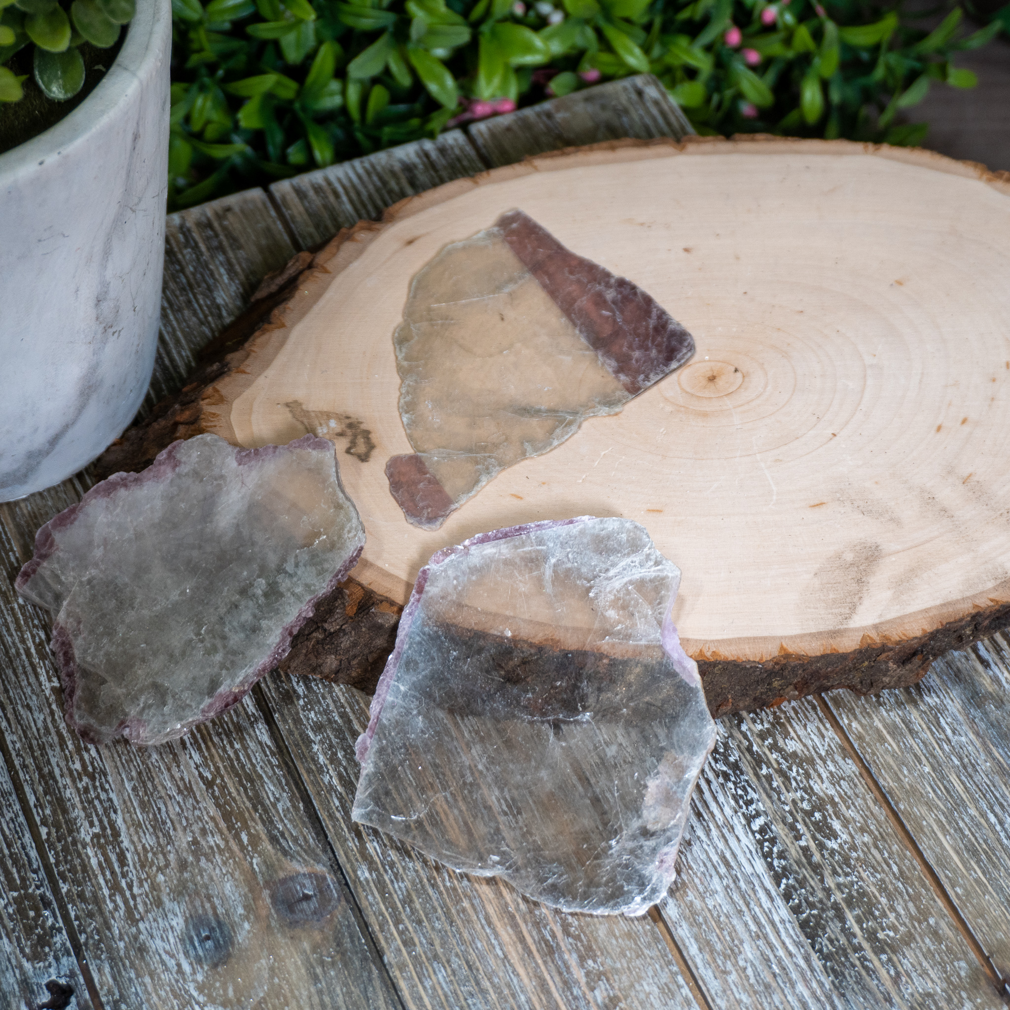 Lepidolite "Windows"