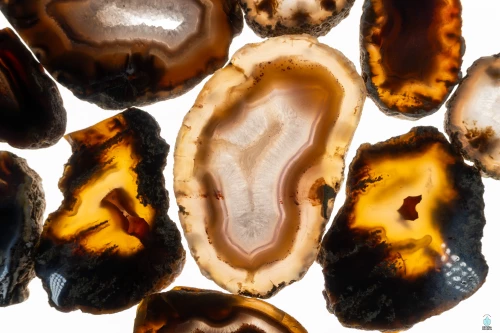 Timor Agate