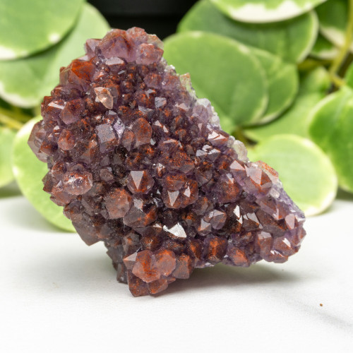 Auralite 23 #19