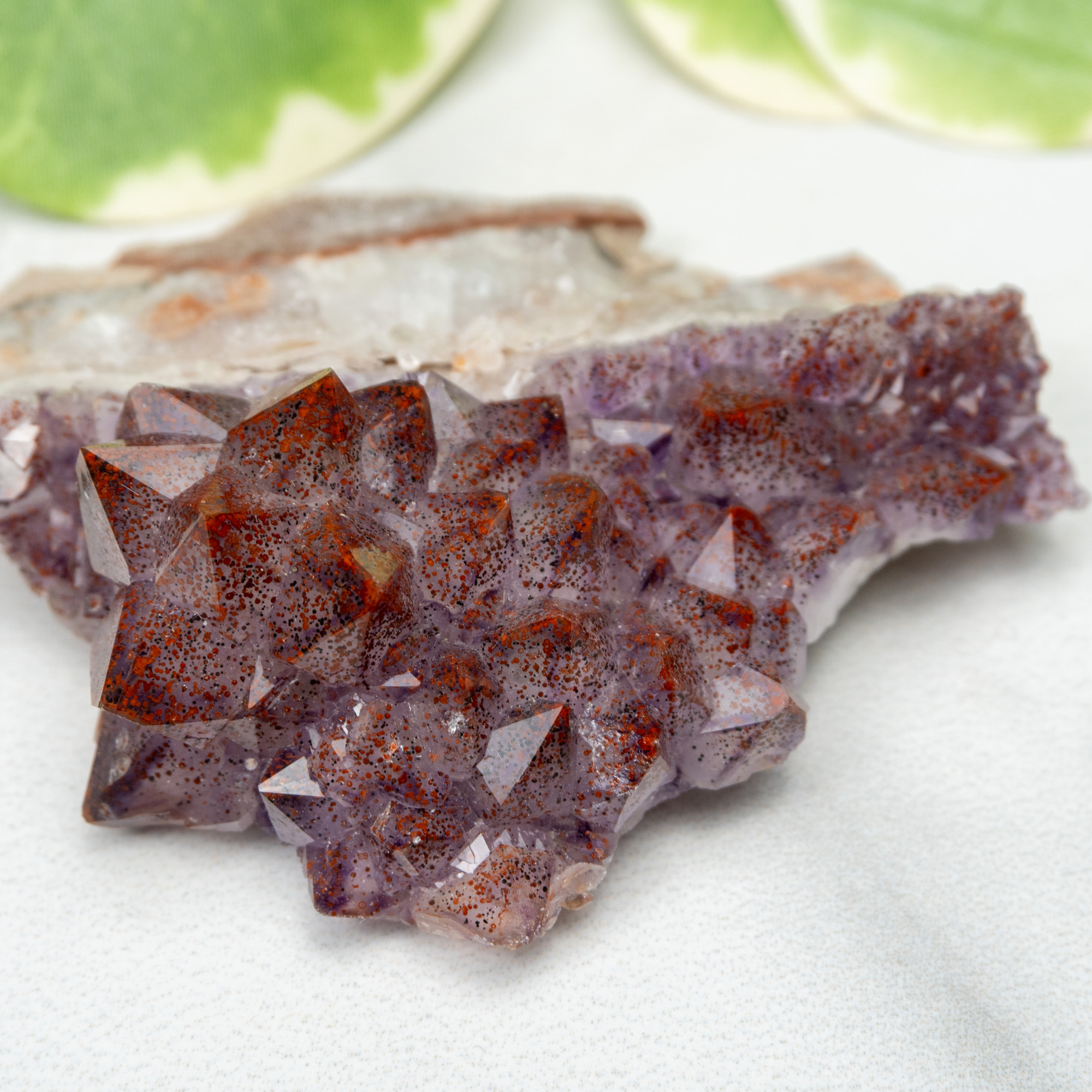 Auralite 23 #17