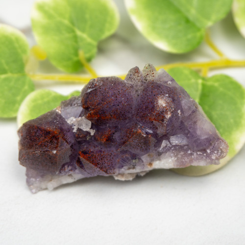 Auralite 23 #12