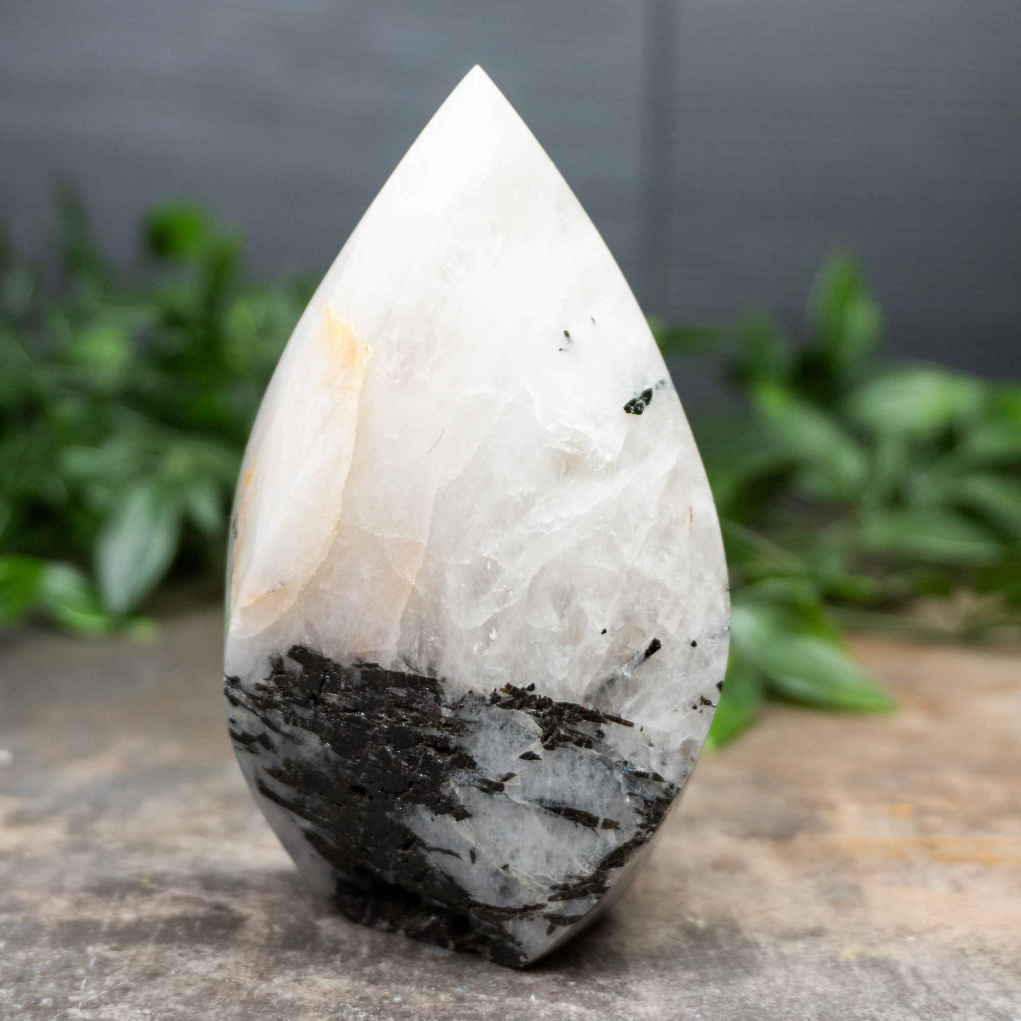 Tourmalinated in Quartz Flame #2