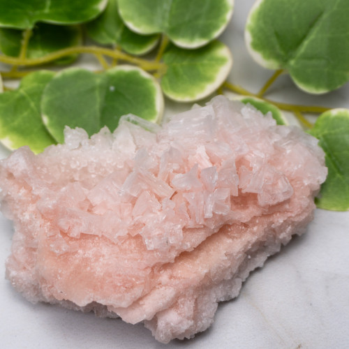 Pink Halite #12