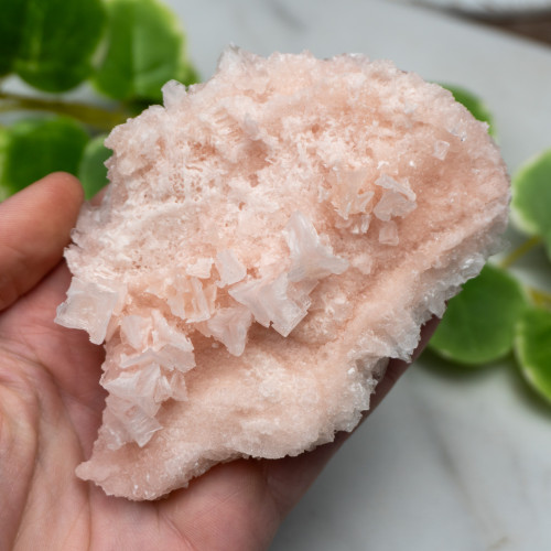 Pink Halite #11