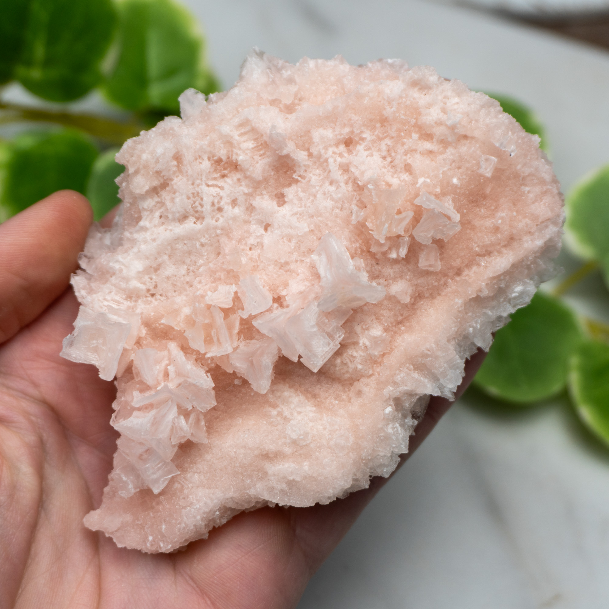 Pink Halite #11