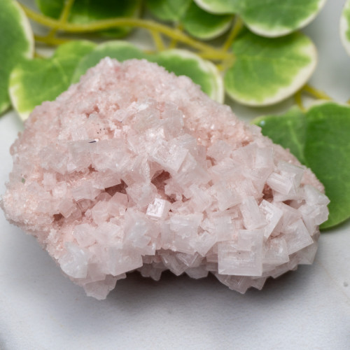 Pink Halite #10