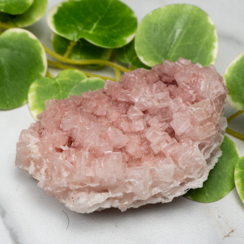 Pink Halite #9