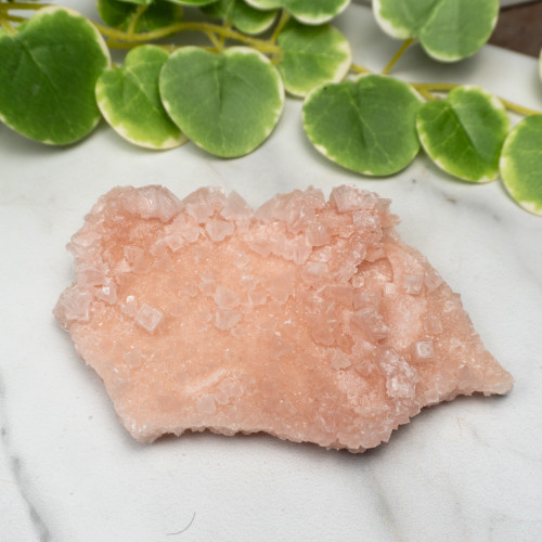 Pink Halite #7