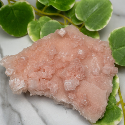 Pink Halite #8