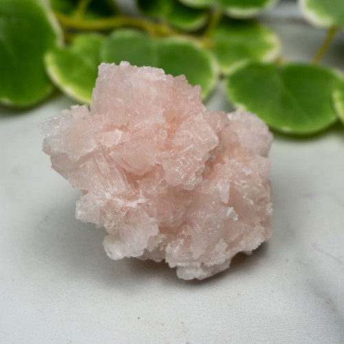 Pink Halite #5