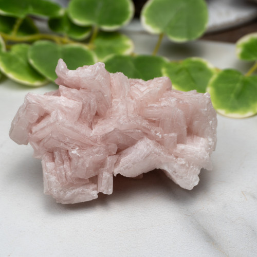 Pink Halite #4